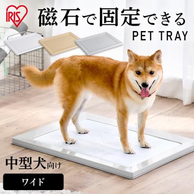 スクエアドッグトレーワイドの商品一覧 通販 - Yahoo!ショッピング