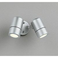 オーデリック エクステリア スポットライト 【OG254565LR】【OG 254 565LR】 | 住宅設備のプロショップDOOON!!