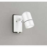 オーデリック エクステリア スポットライト 【OG254566NR】【OG 254 566NR】 | 住宅設備のプロショップDOOON!!