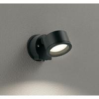 オーデリック エクステリア スポットライト 【OG264029LR】【OG 264 029LR】 | 住宅設備のプロショップDOOON!!