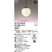 273（シーリングライト、天井照明）｜照明、電球 | 家具、インテリア