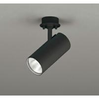 オーデリック スポットライト 【OS256556R】【OS 256 556R】 | 住宅設備のプロショップDOOON!!