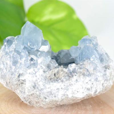 セレスタイト 天青石 クラスター (約243.3g) 原石 マダガスカル産 群晶
