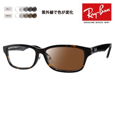 Ray-Ban メンズサングラス（色：ブラウン系）の商品一覧｜財布、帽子