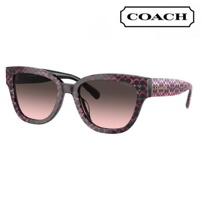 【極美品】COACH コーチ　バタフライ　サングラス　シグネチャー　ケース付き cp496_imotv_a0