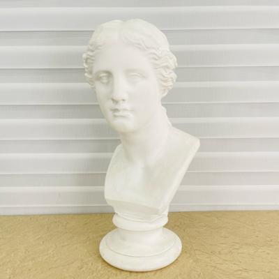 ヴィーナス 石膏像（画材、アート用品） | 楽器、手芸、コレクション