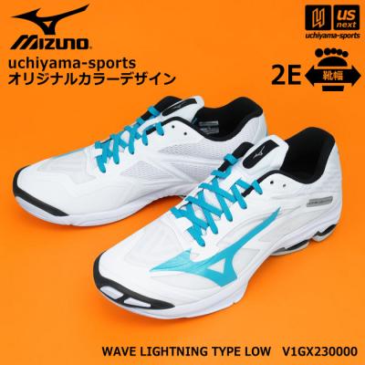 MIZUNO バレーボールシューズ（色：ブルー系）｜バレーボール