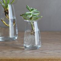 花器 200ml 小 ガラス おしゃれ 生け花 ガラス花器 ヒヤシンス 球根類 アボカド サボテン 花瓶 | うさぎ屋 インテリア&DIY
