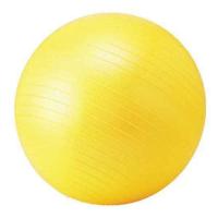 バランスボール フィットネスボール 55 NLS7655トレーニング 筋トレ 筋肉 ストレッチ 体幹 腹筋 腕 脚 ジム 部活動 KOKUSAI コクサイ SスD | プラスワイズホームセンター店