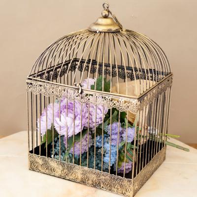 vision 鳥かごのおすすめ人気商品一覧 通販 - Yahoo!ショッピング