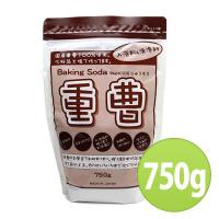 地の塩社 ちのしお重曹 750ｇ (入浴料・洗浄料） | ココチノ