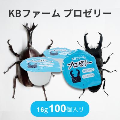 プロゼリー 60g（昆虫用品） | ペット用品、生き物 のおすすめ人気商品