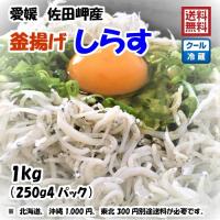 愛媛 佐田岬産 ( 釜揚げしらす 1kg ) 250g4p 小分け 冷蔵便 送料無料 浜から直送 無添加・無着色 宇和海の幸問屋 