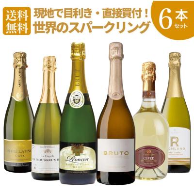 スパークリングワイン 6本 セットのおすすめ人気商品一覧 通販 - Yahoo