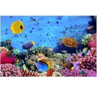 ウォールステッカー 海 ビーチ 南国 おしゃれ 砂浜 海岸 浜辺 夏 波 さざ波 壁紙 トイレ キッチン ハワイ 風景 インテリア 床 ブルー ヒトデ 玄関 Vr Vr Value Deco Park 通販 Yahoo ショッピング