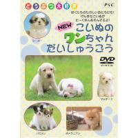 新古品)  ／ こいぬのワンちゃん大集合 (DVD) | バンダレコード ヤフー店