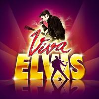 新古品) エルヴィス・プレスリー ／ Viva エルヴィス (CD) | バンダレコード ヤフー店