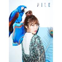 新古品) Pile ／ PILE(初回限定盤B)(DVD付) (CD) | バンダレコード ヤフー店