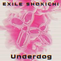 新古品) EXILE SHOKICHI ／ Underdog (CD) | バンダレコード ヤフー店