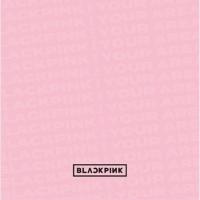 新古品) BLACKPINK ／ BLACKPINK IN YOUR AREA(初回生産限定盤)(DVD付) (CD) | バンダレコード ヤフー店