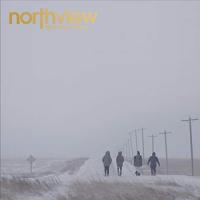 新古品) MONKEY MAJIK ／ northview(初回限定盤)(Blu-ray Disc付) (CD) | バンダレコード ヤフー店