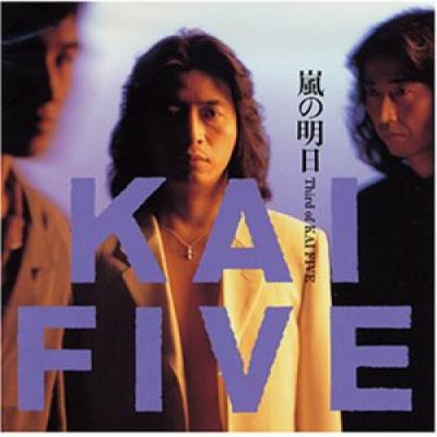 嵐 fiveのおすすめ人気商品一覧 通販 - Yahoo!ショッピング