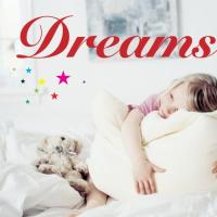 DREAMS ／ オムニバス (CD) | バンダレコード ヤフー店