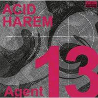 AGENT13 ／ ACID HAREM (CD) | バンダレコード ヤフー店