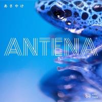 あさやけ ／ ANTENA (CD) | バンダレコード ヤフー店