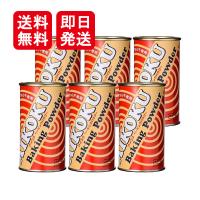 アイコク ベーキングパウダー 100g 6個セット 膨らし粉 料理 お菓子 材料 | World NEXT