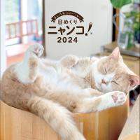日めくりニャンコ！2024年(卓上日めくりカレンダー猫版) | Vast Forest