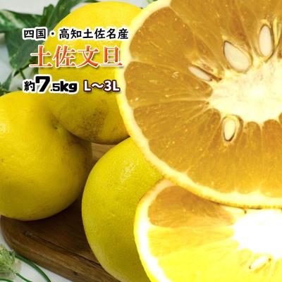 赤系文旦　約16キロ 単2（フルーツ）（種類：文旦） | 食品 のおすすめ人気商品一覧 通販