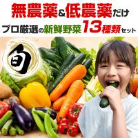 お買い得 野菜 野菜セット 無農薬 低農薬 13品目 こだわり野菜セット 送料無料　 