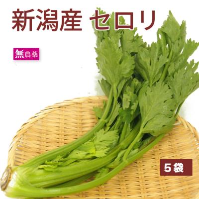 セロリ 値段（セロリ）｜野菜 | 食品 のおすすめ人気商品一覧 通販