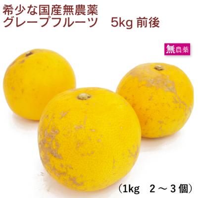 グレープフルーツ 無農薬の商品一覧 通販 - Yahoo!ショッピング