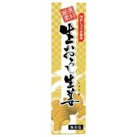 東京フード 生おろし生姜(チューブ) 40g 12個 送料込 | ベジタブルハート