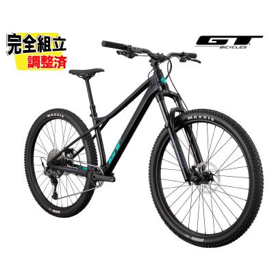 GT マウンテンバイク(MTB)（ブレーキタイプ（フロント）：油圧式