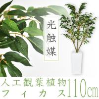 人工植物 観葉植物 DORIS 光触媒 造花 植物 フェイクグリーン 鉢付き リビング 消臭 殺菌 防臭 フィカス 110cm 北欧 ドリス | velle