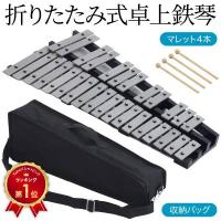 鉄琴 楽器 子供 グロッケン 卓上鉄琴 30音 マレット 4本 収納ケース付 鍵盤 初心者 演奏 練習 演奏会 路上ライブ 5歳 男の子