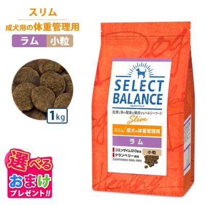 セレクトバランス ドッグフード ラム（SELECT BALANCE）の商品一覧