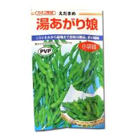 価格ご相談ください。湯あがり娘 枝豆2000粒 5袋 湯あがり娘[枝豆