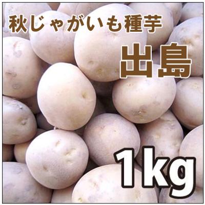 ジャガイモ 種芋のおすすめ人気商品一覧 通販 - Yahoo!ショッピング