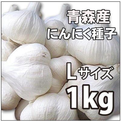 平戸ニンニク種の商品一覧 通販 - Yahoo!ショッピング