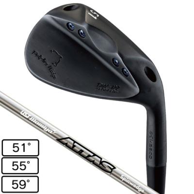 現品 Kasco ドロフィン & RODDIO DPW-225_main.png