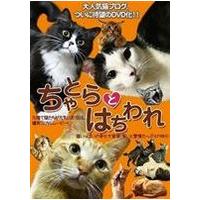 【中古】ちゃとらとはちわれ  b45290【レンタル専用DVD】 | ビデオランドミッキー