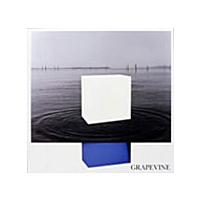 【中古】イデアの水槽（期間限定特別価格盤） / GRAPEVINE   c5072【中古CD】 | ビデオランドミッキー