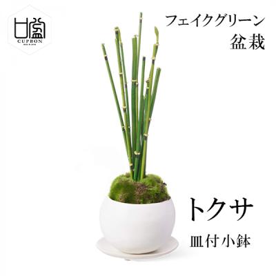 苔盆栽 器の商品一覧 通販 - Yahoo!ショッピング 苔盆栽 器の商品一覧 通販 - Yahoo!ショッピング
