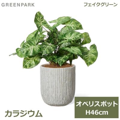 光触媒 人工観葉植物 フェイクグリーン カラジウムトロピカーナ 100