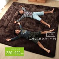 ふっくら 敷き カーペット 大判 約220×220cm ラグ クッション性 防音 こたつ敷き 保温性 正方形 イケヒコ ikehiko ブラウン フランネル 1161710066113 | viewgarden