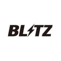【BLITZ/ブリッツ】 CARBON POWER AIR CLEANER (カーボンパワーエアクリーナー) オプションパーツ フィルター本体 単品 A1 [42001] | ビゴラス